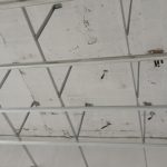 631ad078-56fd-4e9e-938e-ab2410578f55