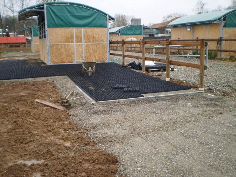 Geoplast-Runfloor-Horses-10-1920w