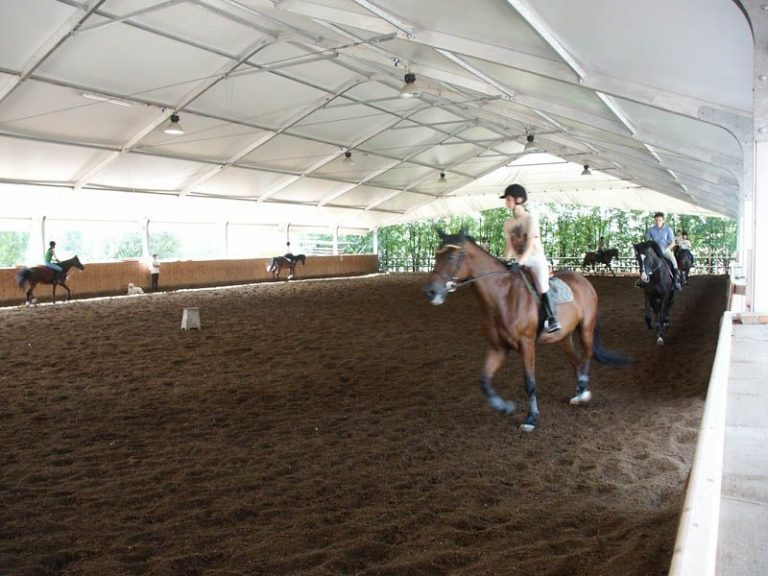 Geoplast-Runfloor-Horses-15-1920w